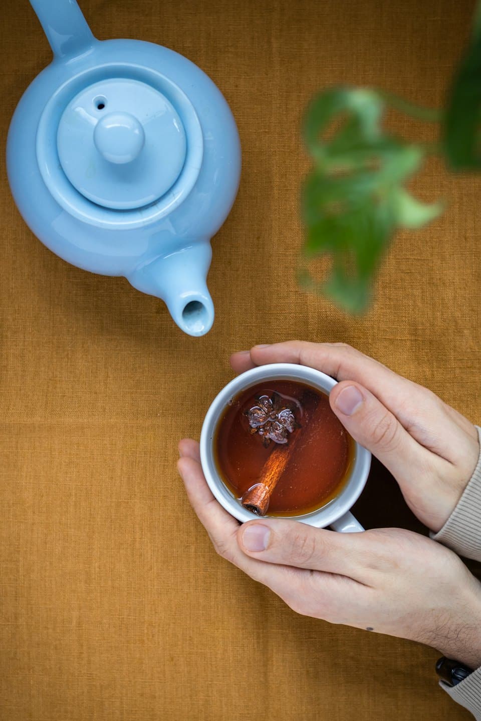 Mani che tengono una tazza di tè con cannella e anice.